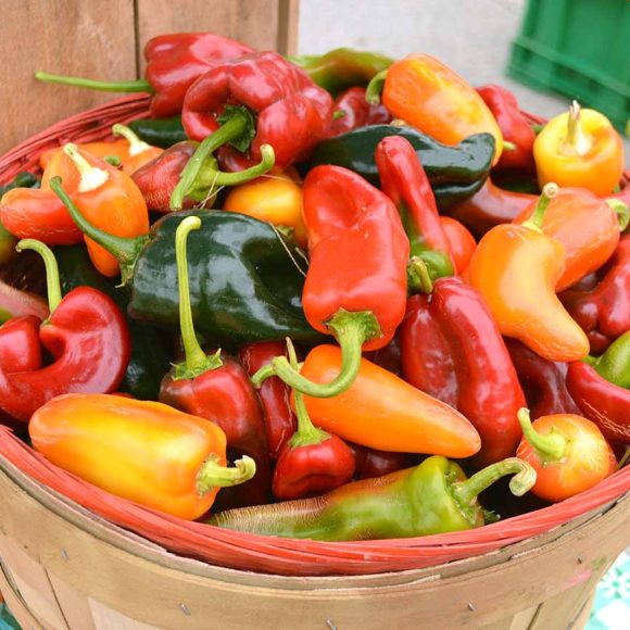 Pepper preservation