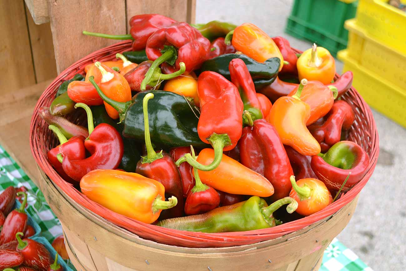 Pepper preservation