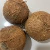 Fresh Coconut