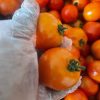 Plum Tomatoes/kg