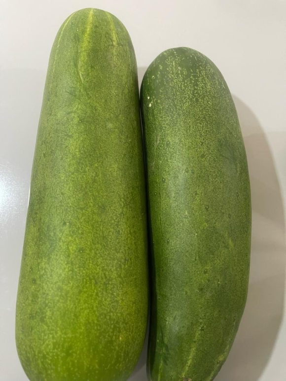 Fresh Organic Cucumbers