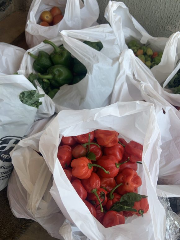 Red Habanero/kg