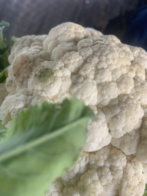 Cauliflower