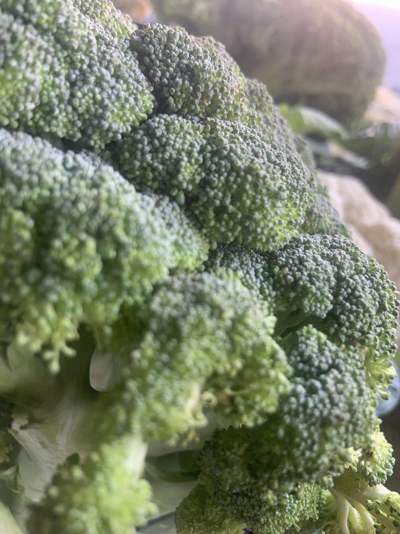 Broccoli