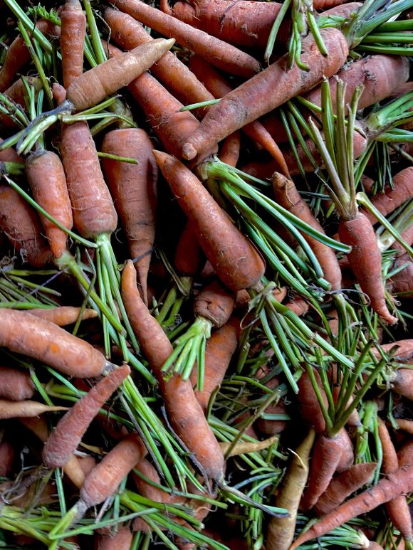 Fresh Carrots/kg