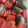Red Bellpepper/kg