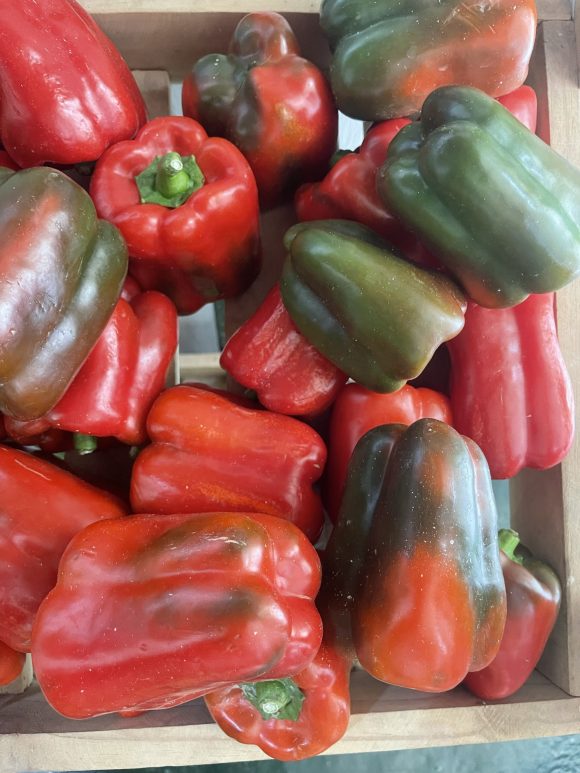 Red Bellpepper/kg