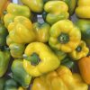 Yellow Bellpepper/kg