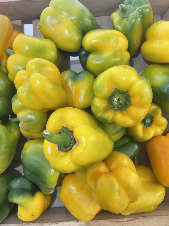 Yellow Bellpepper/kg