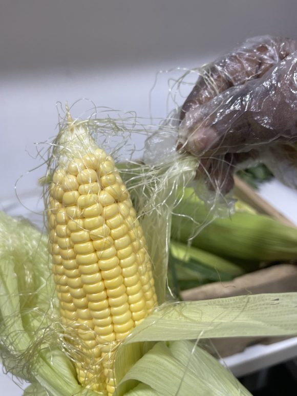 Fresh harvest sweetcorn/kg